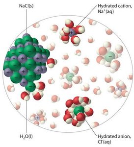 Hydration shells around ions in solution