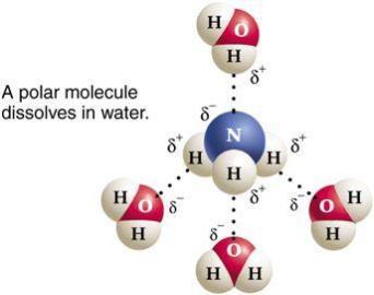 Polar molecule dissolving in water via hydrogen bonding