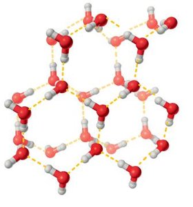 Hydrogen-bonded lattice structure of ice