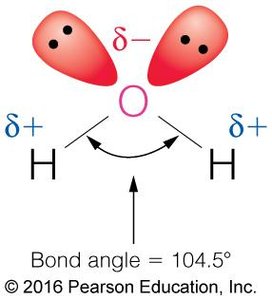 Water molecule polarity and bond angle