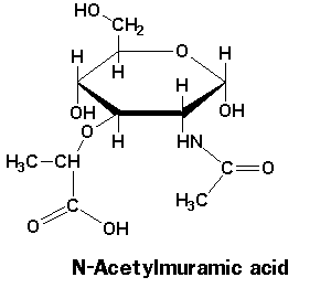N-acetylmuramic acid structure