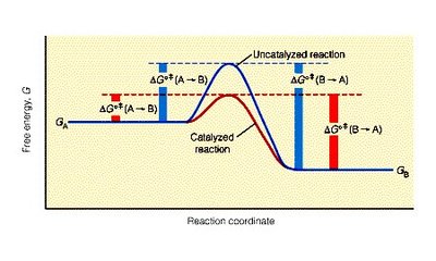 Comparison of catalyzed and uncatalyzed reaction energy profiles
