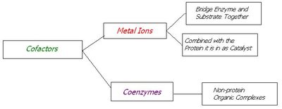 Classification of cofactors: metal ions and coenzymes