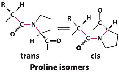 Isomería cis-trans de prolina