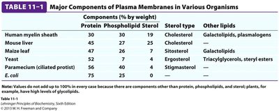 Major components of plasma membranes in various organisms