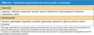 Nutritional requirements for amino acids in mammals