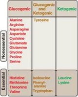 Classification of amino acids: glucogenic, ketogenic, both