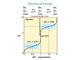 Titration curve of glycine showing pKa values and pI