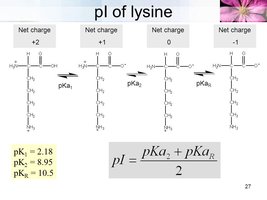 pI of lysine and its titration curve