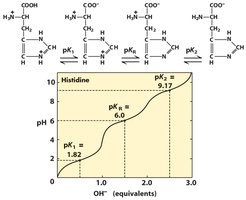 Titration curve of histidine