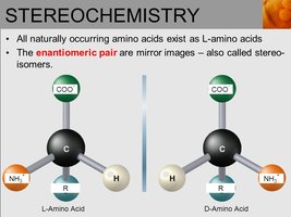 Stereochemistry: L- and D-amino acids as enantiomers