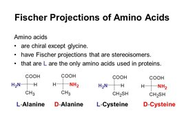 Fischer projections of L- and D-amino acids