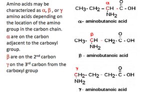Alpha, beta, gamma amino acids based on amino group position
