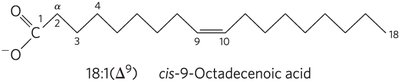 Structure of cis-9-octadecenoic acid