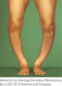 Vitamin D3 production and metabolism