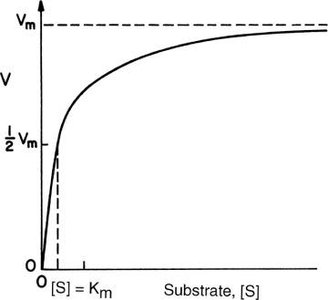 Michaelis-Menten curve showing Vmax and Km