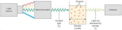 UV-Vis absorbance experimental setup