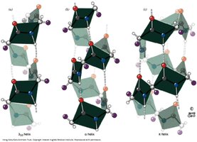 Helix types and hydrogen bonding