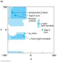 Ramachandran plot for β-sheet and helix