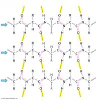 Parallel β-sheet structure
