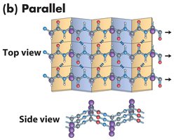 Amino acid β-sheet propensity