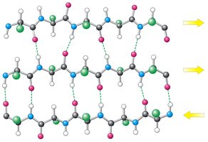 Mixed three-stranded β-sheet