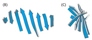 Twisted β-sheet structure