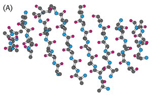 Twisted β-sheet structure