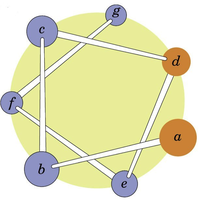 Heptad repeat diagram