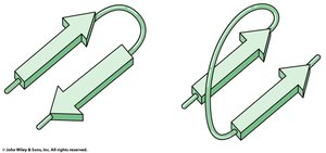 Type I and Type II β-turns