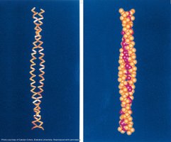 Coiled-coil interaction diagram