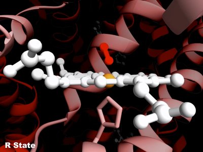 Hemoglobin in R state
