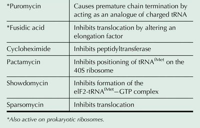 Antibiotic inhibitors of protein synthesis