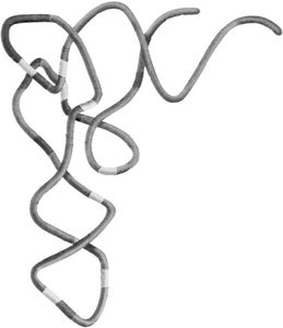 3D structure of tRNA