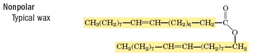 Phospholipid structure and bilayer formation