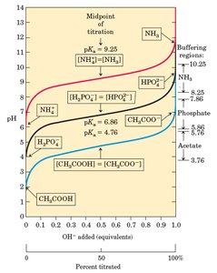 Henderson-Hasselbalch equation and buffer calculation