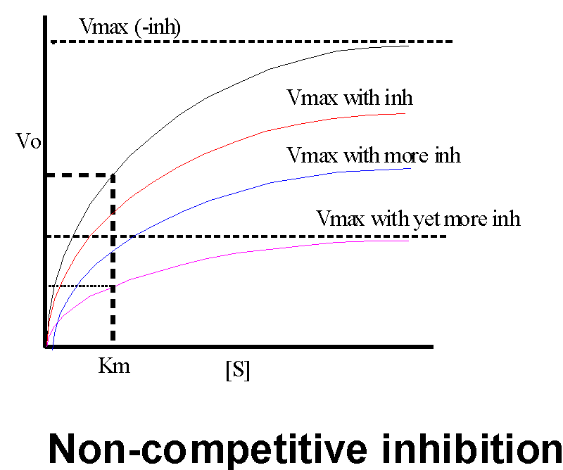 Non-competitive inhibition: effect on kinetic curve
