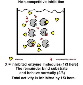 Non-competitive inhibition: enzyme molecules inhibited