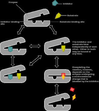 Non-competitive inhibition: binding sites and effects