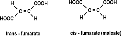 Structural comparison of trans-fumarate and cis-fumarate (maleate)
