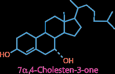 Structure of 7α,4-cholesten-3-one, an intermediate in bile acid synthesis