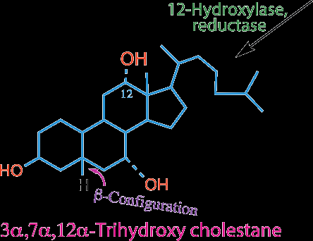 Structure of 3α,7α,12α-trihydroxy cholestane, a bile acid intermediate
