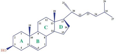 Structure of cholesterol with labeled rings and side chain