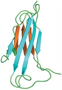 Antibody-antigen binding site complementarity