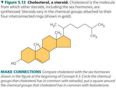 Structure of cholesterol, a steroid
