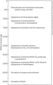 Timeline of biological evolution