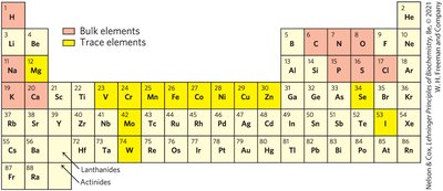 Periodic table highlighting bulk and trace elements essential for life