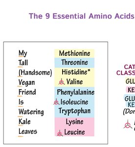 Mnemonic for non-essential amino acids