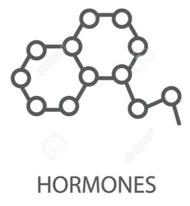 Diagram representing hormone structure