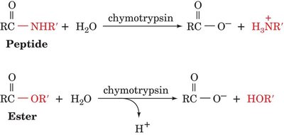 Cofactor classification diagram
